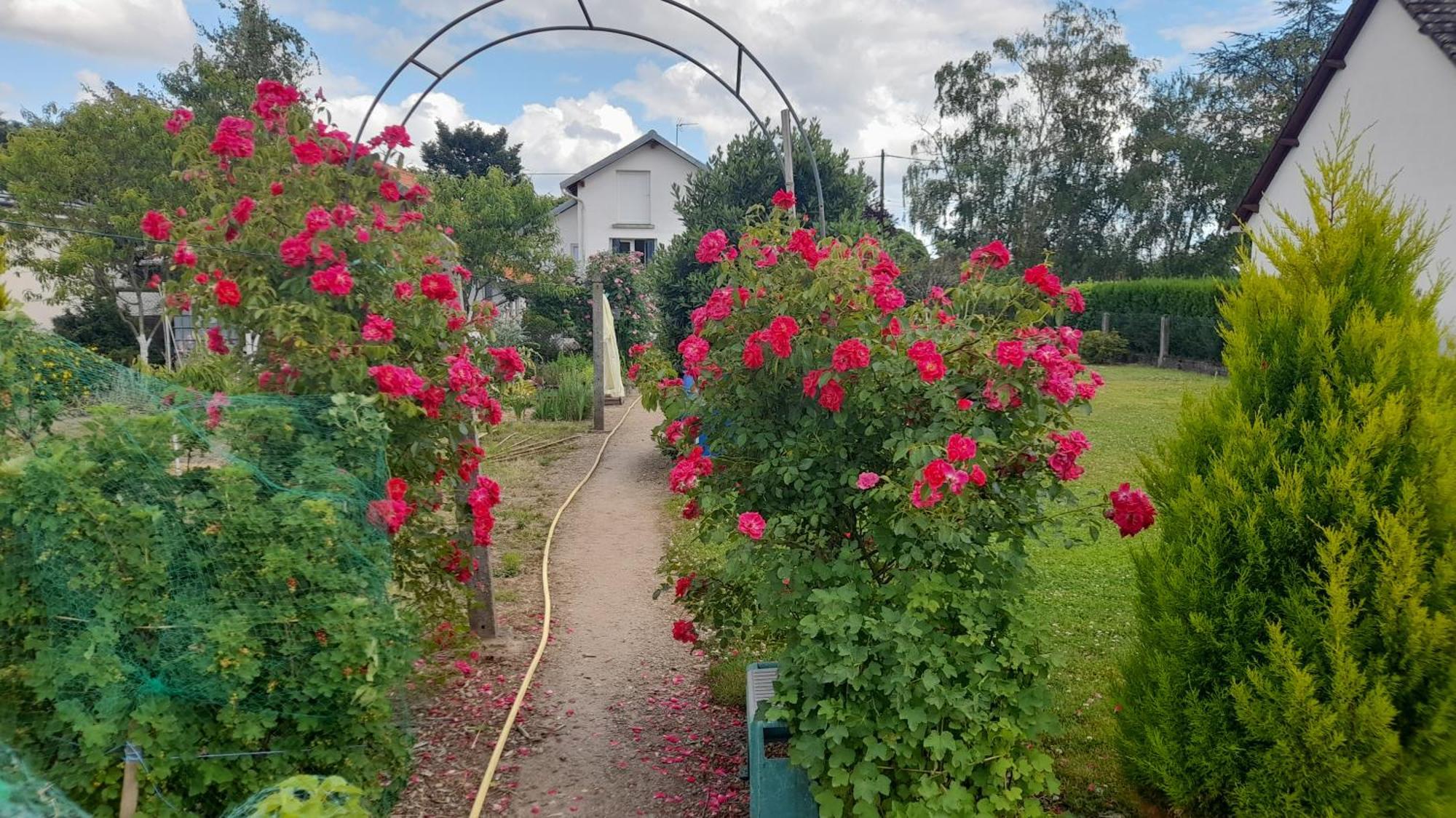 Les Abelias Bed & Breakfast Hauterive  Eksteriør bilde